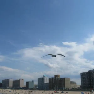 A Loftier Perspective