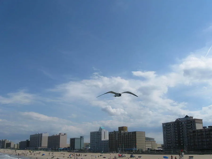 A Loftier Perspective