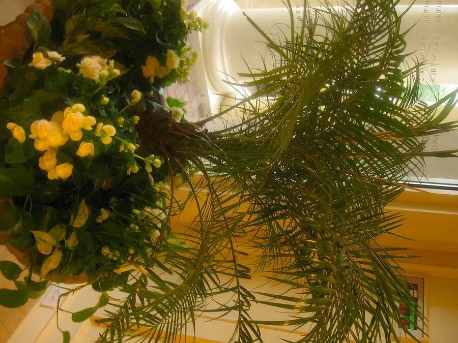 A Matter of Perspective