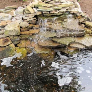 Babbling Battlefront