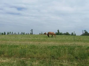 Minding My Own Business