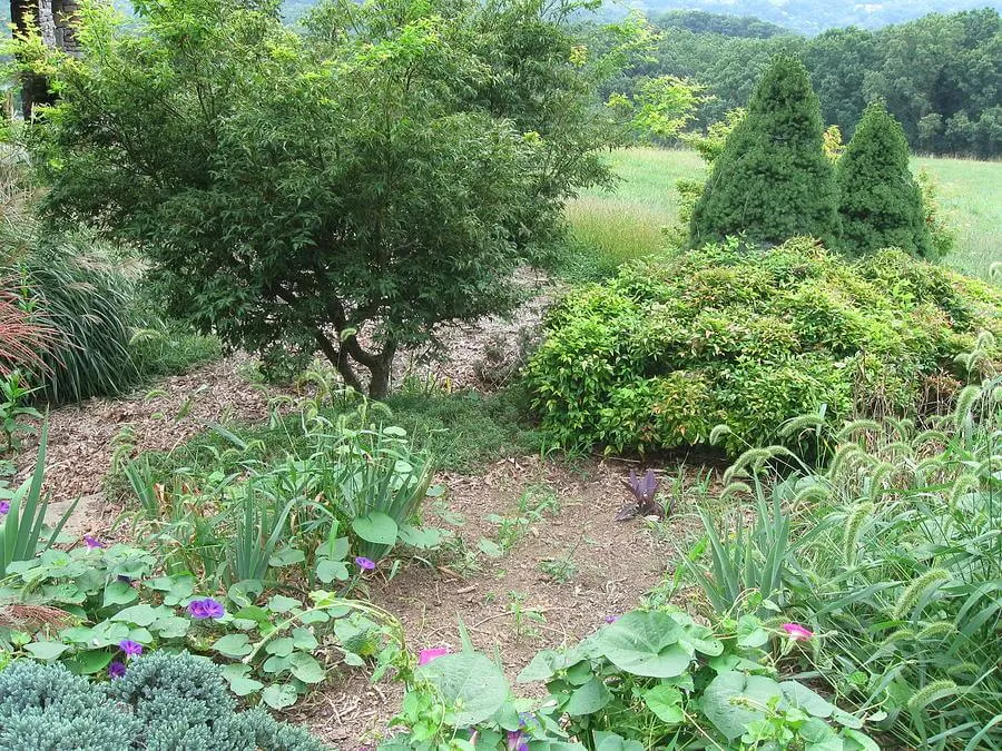 Neighborhood of Friends