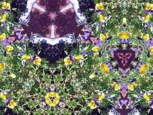 Plausible Pilgrimage