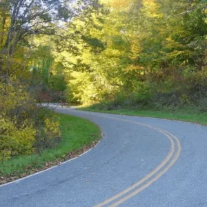 The Road To Authenticity