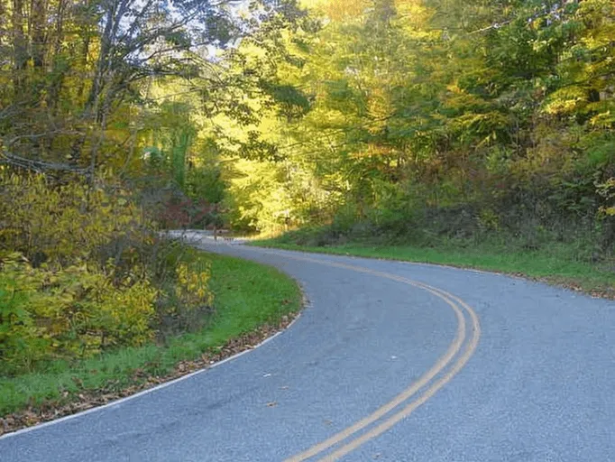 The Road To Authenticity