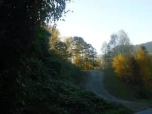 Occult Mountain Path