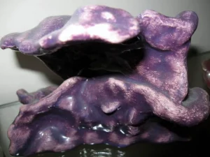 The Sacred Sexual Artistic Womb