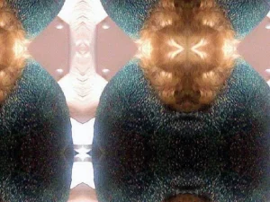 Your Attention Please